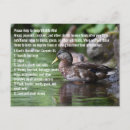 Search for fowl cards invites Duck