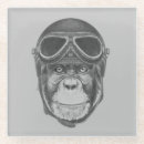 Search for chimpanzees coasters Funny