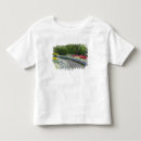 Search for pathway clothing Nature