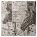Search for horse tiles Nature