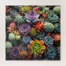 Search for succulent puzzles Plants