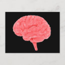 Search for human brain postcards Detail