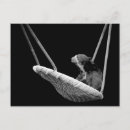 Search for white bear postcards Black and white