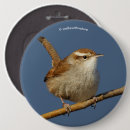 Search for curious badges Bird