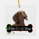 Search for dachshund christmas tree decorations Animal