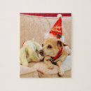 Search for christmas dog puzzles Pets