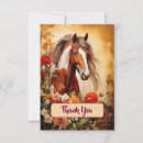 Search for pinto Horses