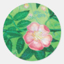Search for wild rose stickers Botanical