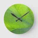 Search for green leaf clocks Closeup
