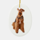 Search for airedale christmas tree decorations Terrier