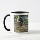 Search for moving picture mugs Outdoors