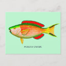 Search for april fool postcards April fool's day