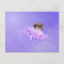 Search for bumble postcards Bee