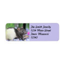 Search for rats return address labels Rodent