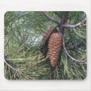 Search for pine cone electronics Xmas