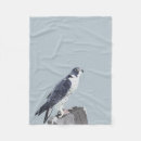 Search for peregrination Animal