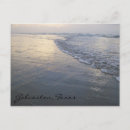 Search for galveston postcards Nature