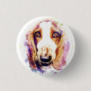Search for bassets badges Pet