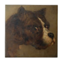 Search for dog breed tiles Bulldog