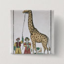 Search for presented badges Animal