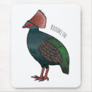 Search for crested mousepads Bird