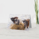 Search for goat christmas cards Winter