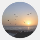 Search for ocean sunset stickers Birds