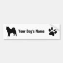 Search for alaskan malamute bumper stickers Pet