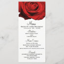 Search for romantic shabby chic Floral