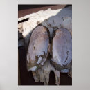 Search for birch bark posters Photography