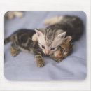 Search for two cats mousepads Friendship