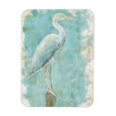 Search for egrets magnets Animals