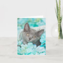 Search for cat basket cards Roses
