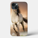 Search for stallion cases Equine