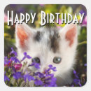 Search for happy kitten stickers Adorable