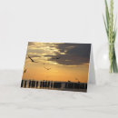 Search for bird mom cards Ocean