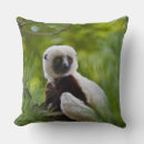 Search for lemur cushions Madagascar