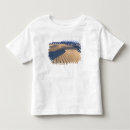 Search for califorinia Ripple