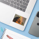 Search for raining stickers Rainbow