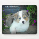 Search for aussie puppy mousepads Aussies