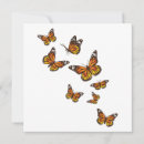 Search for insect lover cards Entomologist