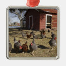 Search for ranch christmas tree decorations Rural