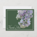 Search for blank inside horizontal cards Botanical