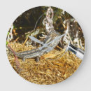 Search for bearded dragon art Funny