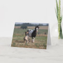 Search for gypsy vanner cards Bob langrish