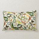 Search for papillons cushions Butterfly