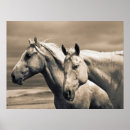 Search for quarter posters Ranch
