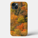Search for fall foliage cases Mountain