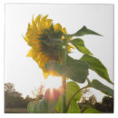 Search for sunburst tiles Yellow