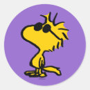 Search for sunglasses stickers Charlie brown